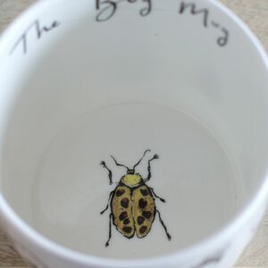 The Bug Mug by Anna Wright