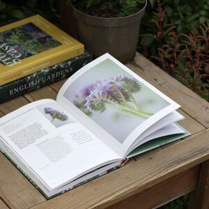The Flower Garden by Clare Foster