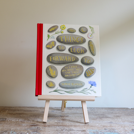 Things to Look Forward to - Sophie Blackall