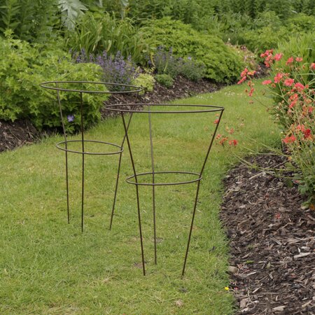 Tom Chambes Botanical Herbaceous Plant Support - Medium Twin Pack