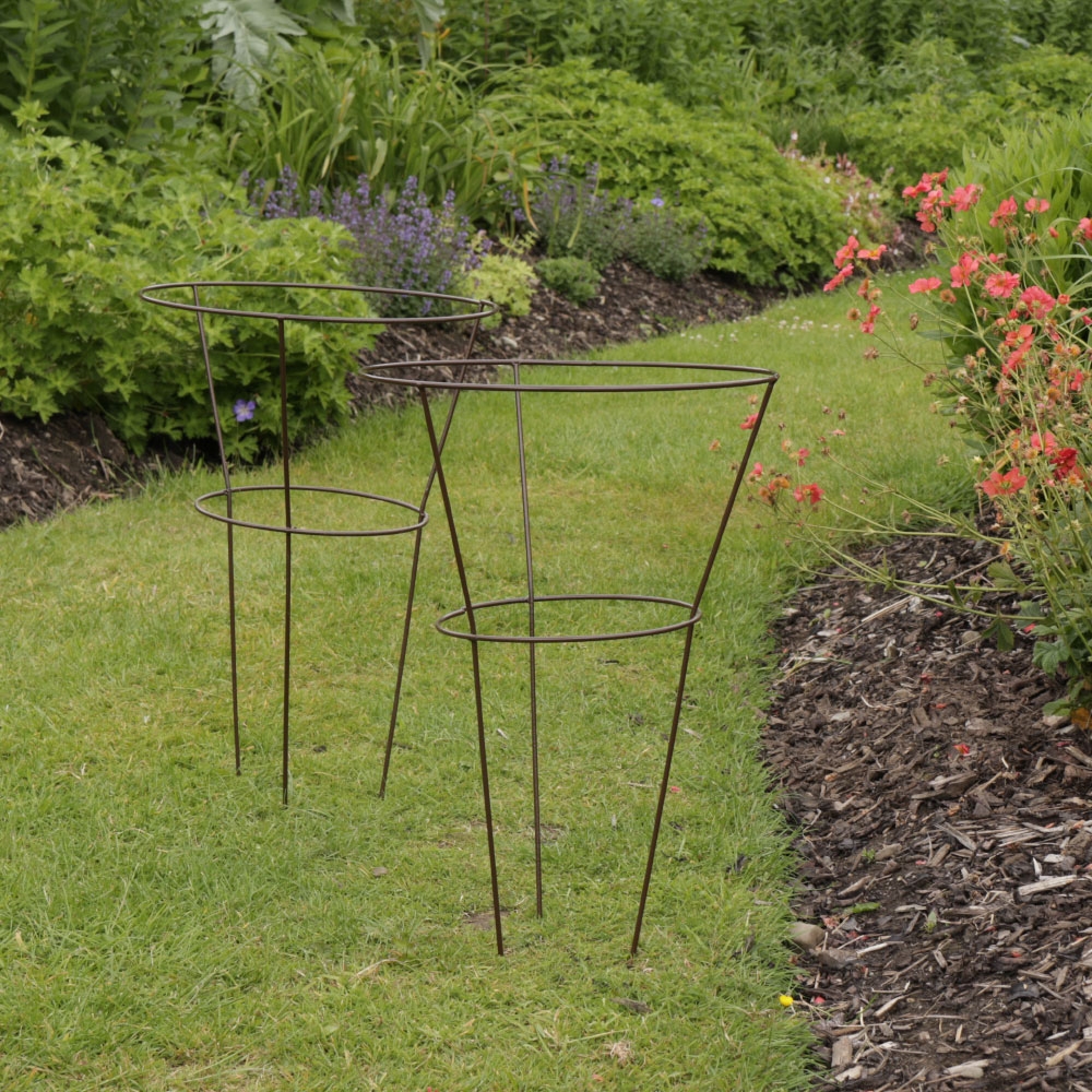 Tom Chambers Botanical Herbaceous Plant Support Medium Twin Pack Beetham Nurseries