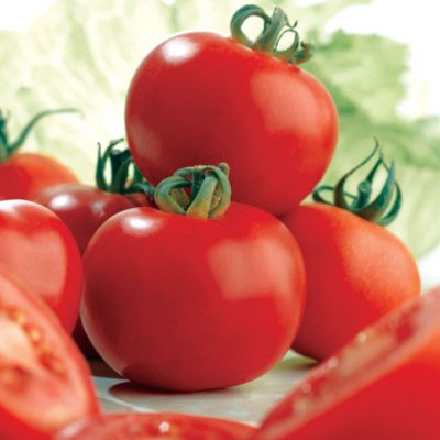 Tomato Seeds - Ailsa Craig