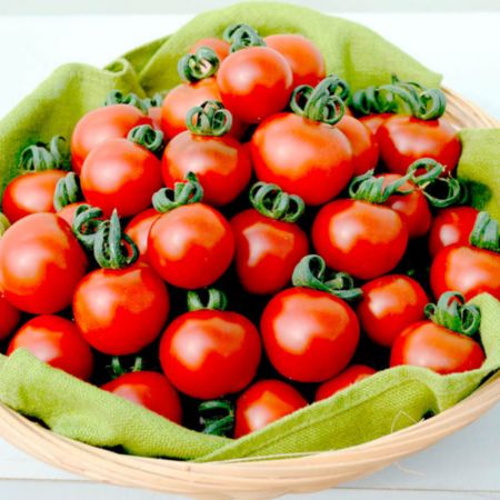 Tomato Seeds - Garnet