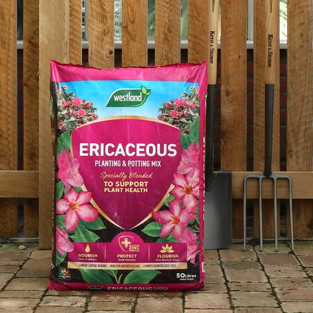 Westland Ericaceous Planting & Potting Mix - 50 Litre