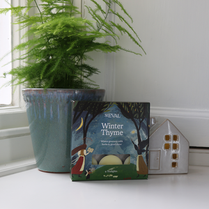Winter Thyme St. Eval Scented Christmas Tealights (9 per pack)