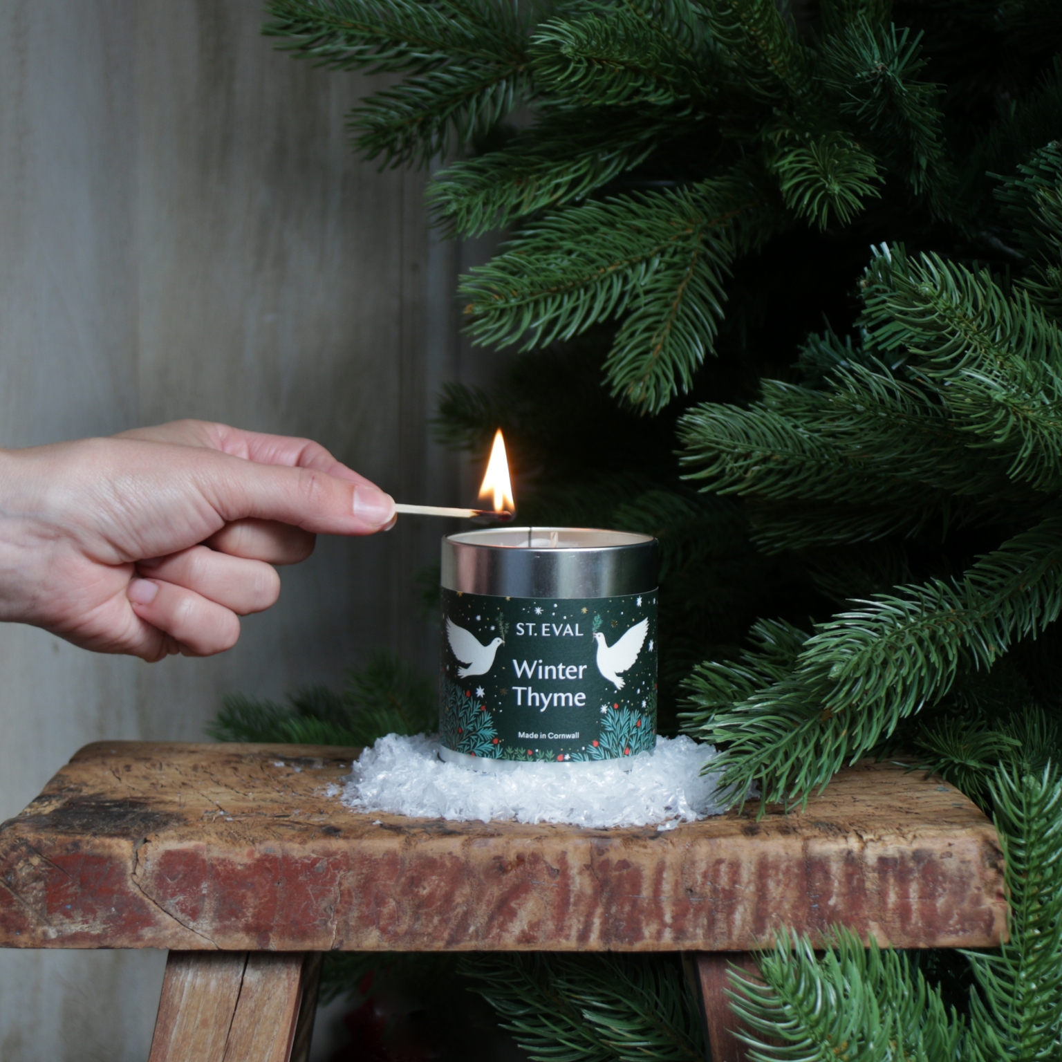 Winter Thyme St. Eval Scented Christmas Tin Candle Beetham Nurseries