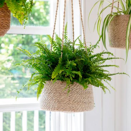 Woven Tapered Hanging Plant Pot